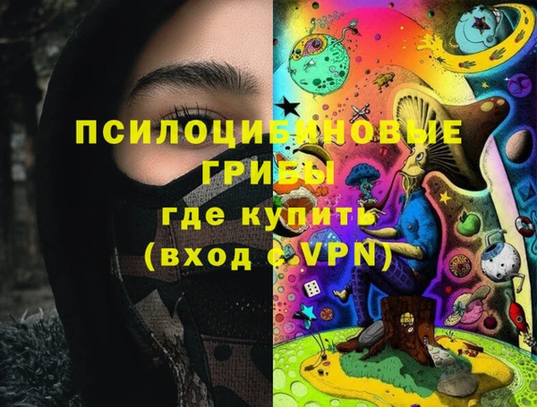 спиды Новозыбков