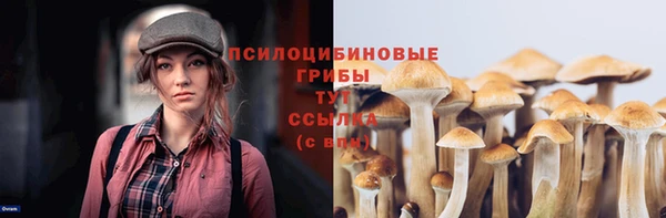 ГАЛЛЮЦИНОГЕННЫЕ ГРИБЫ Новодвинск