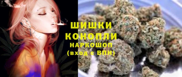 ГАЛЛЮЦИНОГЕННЫЕ ГРИБЫ Новодвинск