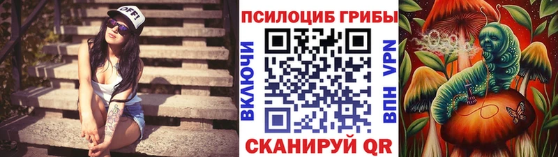 Псилоцибиновые грибы Magic Shrooms  продажа наркотиков  Салехард 